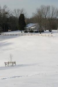 Indiantree Farm guest house.